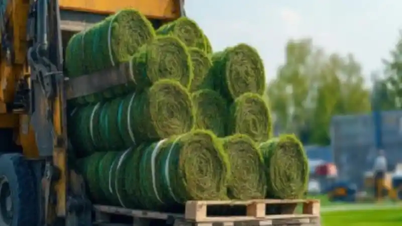 Why Commercial Turf Suppliers Are Essential for Scalable Outdoor Design Projects