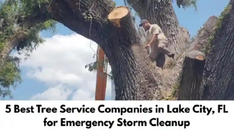 5 Best Tree Service Companies in Lake City, FL for Emergency Storm Cleanup