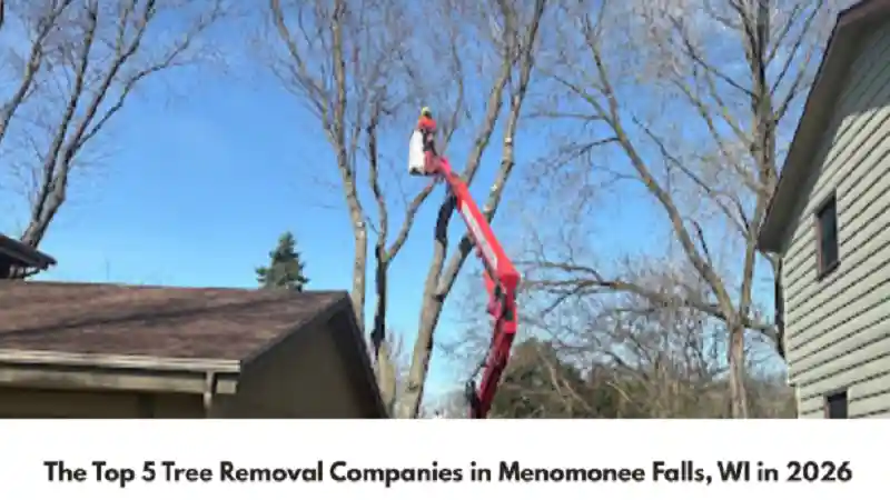 The Top 5 Tree Removal Companies in Menomonee Falls, WI in 2026