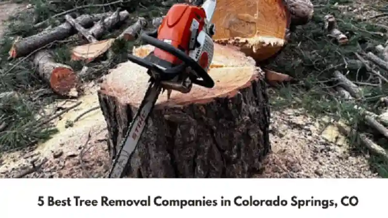 5 Best Tree Removal Companies in Colorado Springs, CO