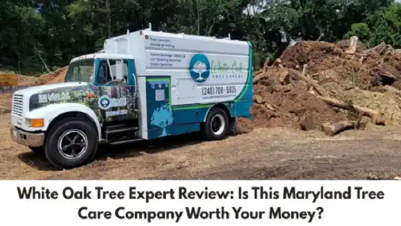 White Oak Tree Expert Review: Is This Maryland Tree Care Company Worth Your Money?