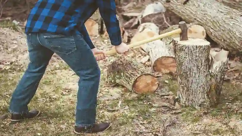 Barto Stumps and Tree Service Review: The Solution to All Your Tree Removal Headaches in Spring Hill, FL?