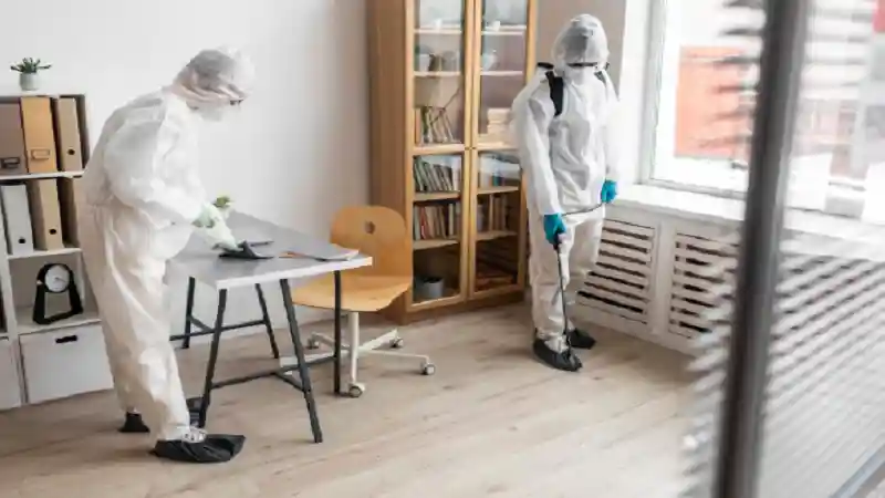 What to Expect During a Professional Ant Extermination Visit in Anaheim