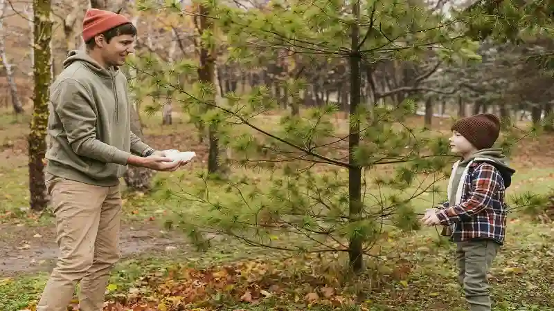 Keystone Tree Techs Review: Is This the Answer to Every Hazardous Tree Problem in Greater Pittsburgh?