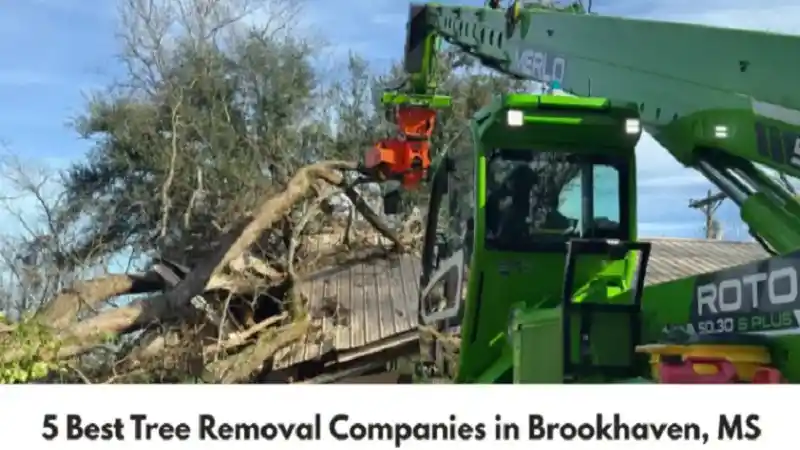 5 Best Tree Removal Companies in Brookhaven, MS