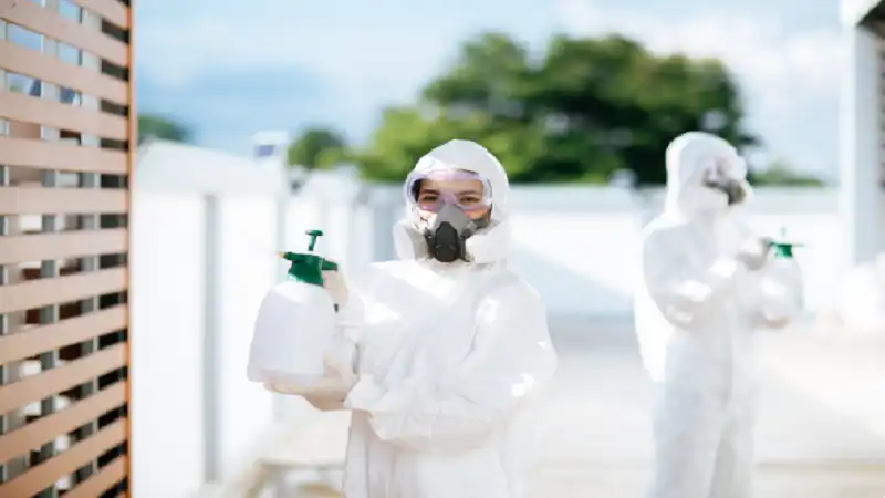 Why Same-Day Pest Control Is Essential for Virginia Beach Homeowners