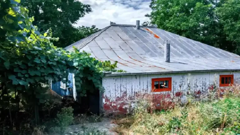 5 Signs Your Home in Seattle Is Ready for a Metal Roof Upgrade